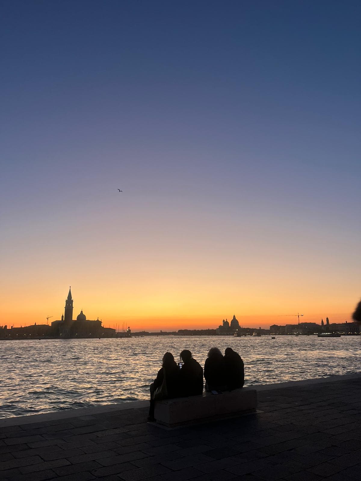 I Reparti in uscita per la creazione delle Squadriglie!